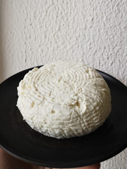 Homemade cheese? The step by step procedure 2 IMG 20230622 121506 edited 480x640 1