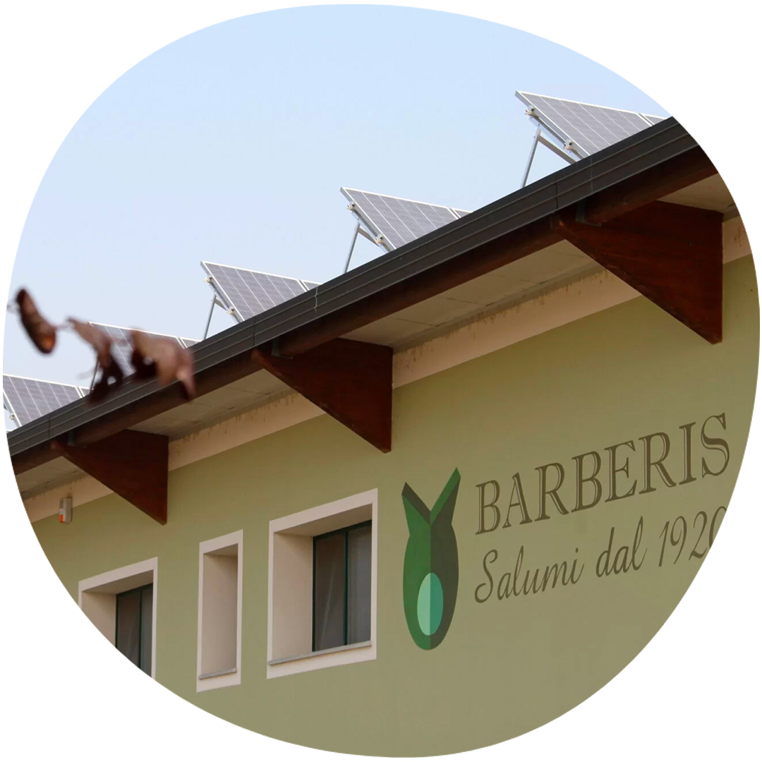 Image category Barberis Salumi