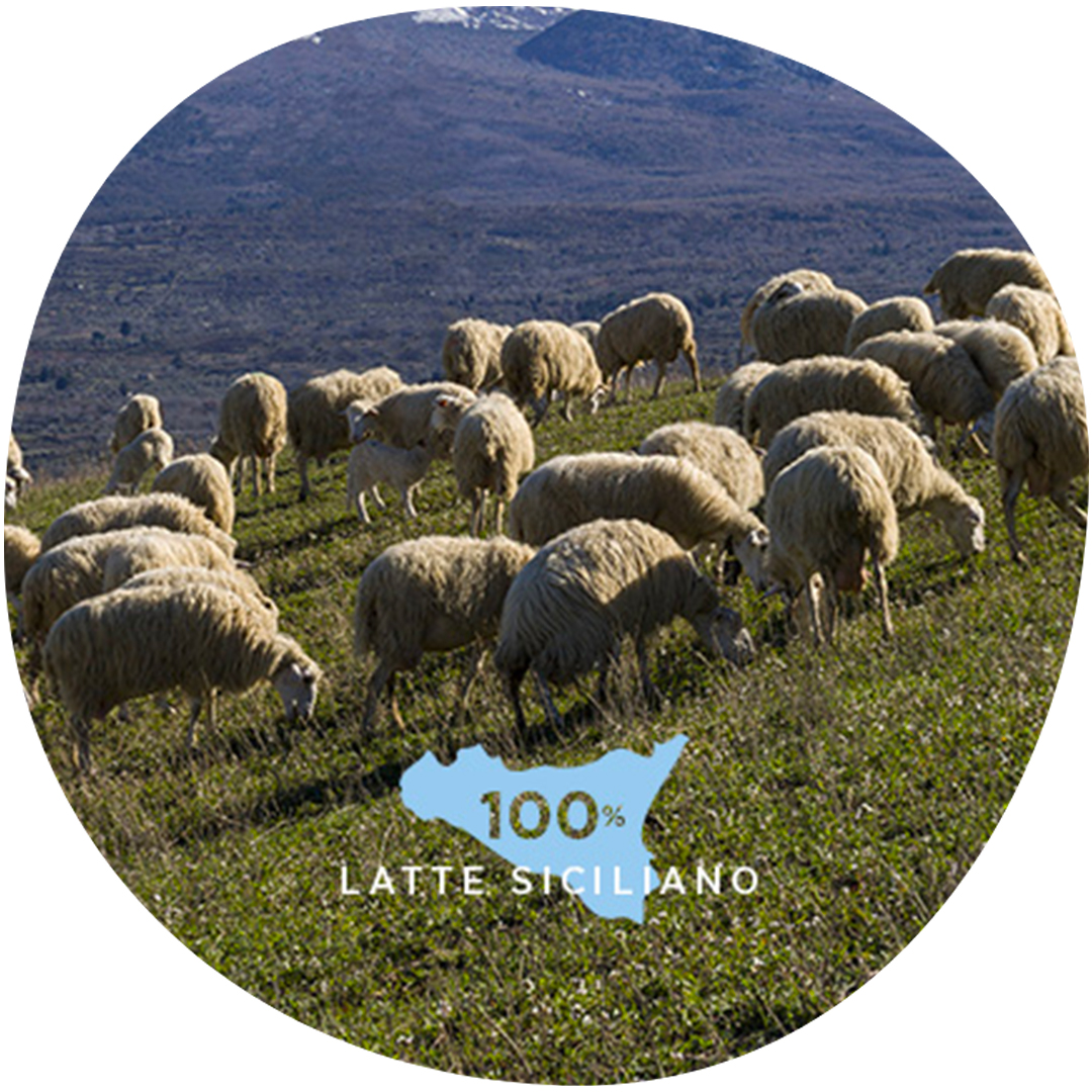 Image category La Cava Caseificio