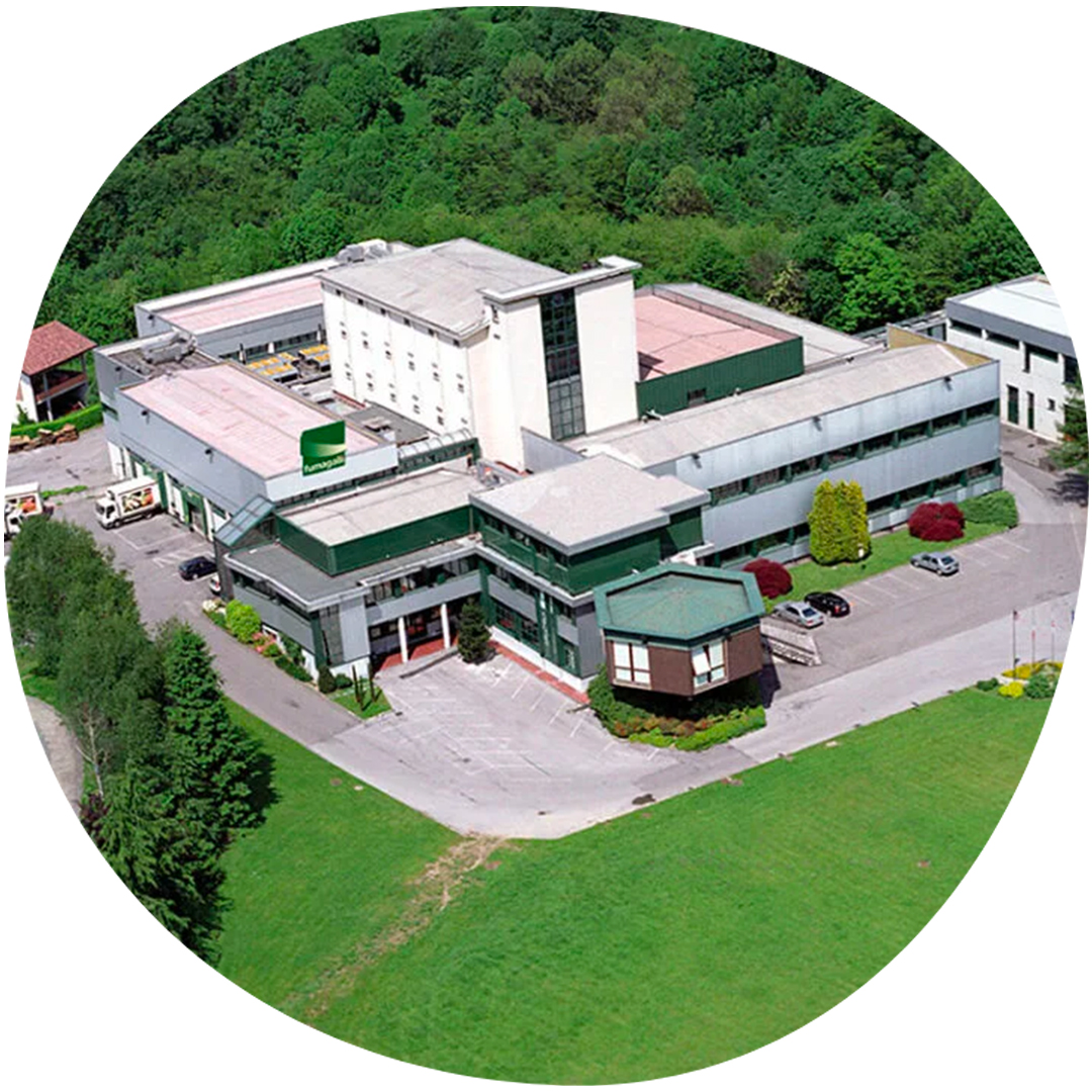 Image category Fumagalli