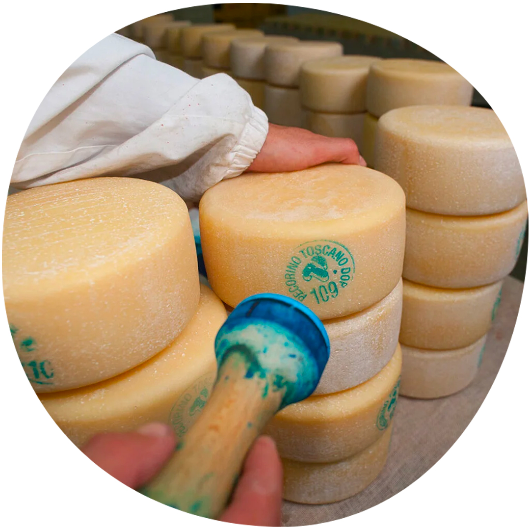 Image category Caseificio Sociale di Manciano