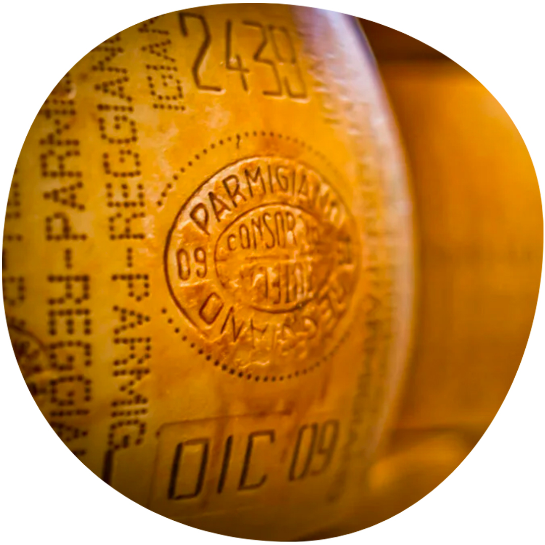 Image category Montanari & Gruzza