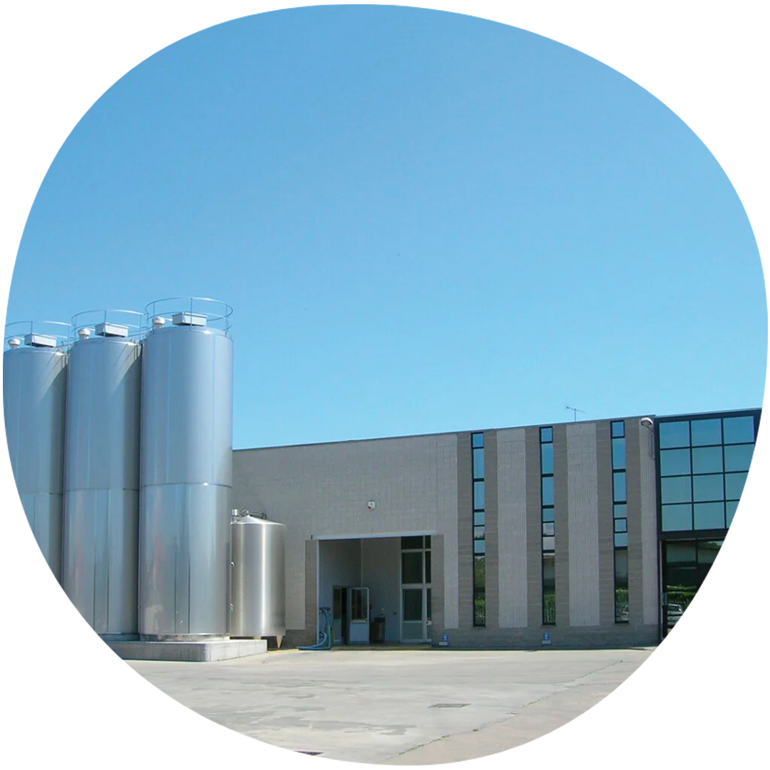 Image category Oioli