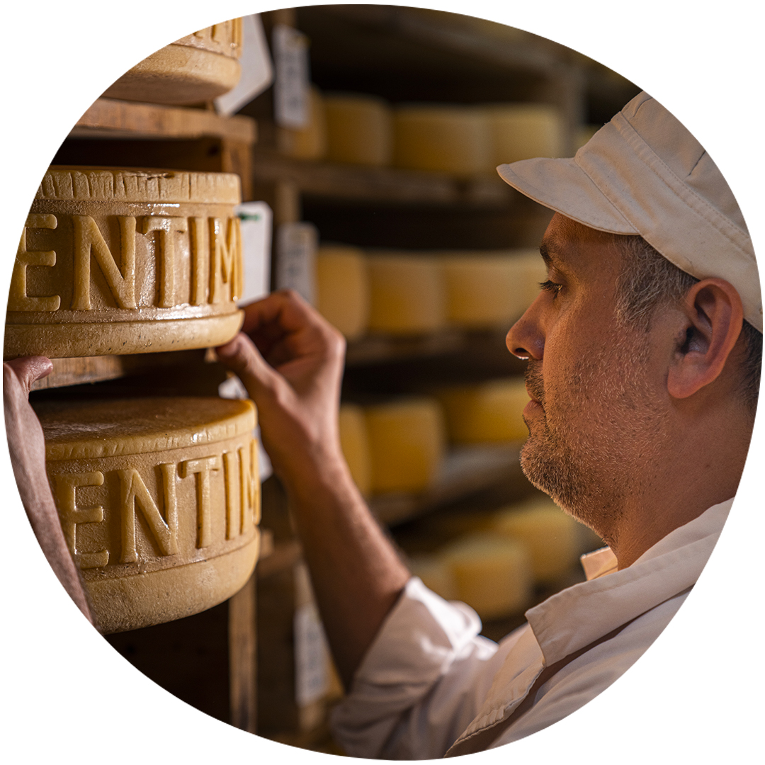 Image category Queseria Ventimiglia