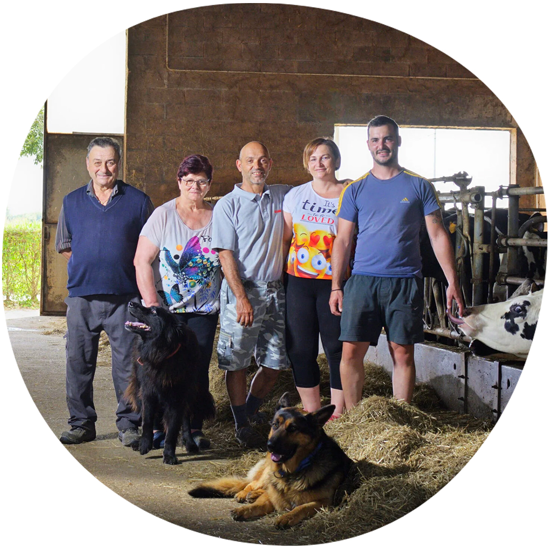 Image category Santangiolina