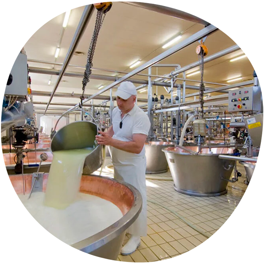 Image category Zanetti