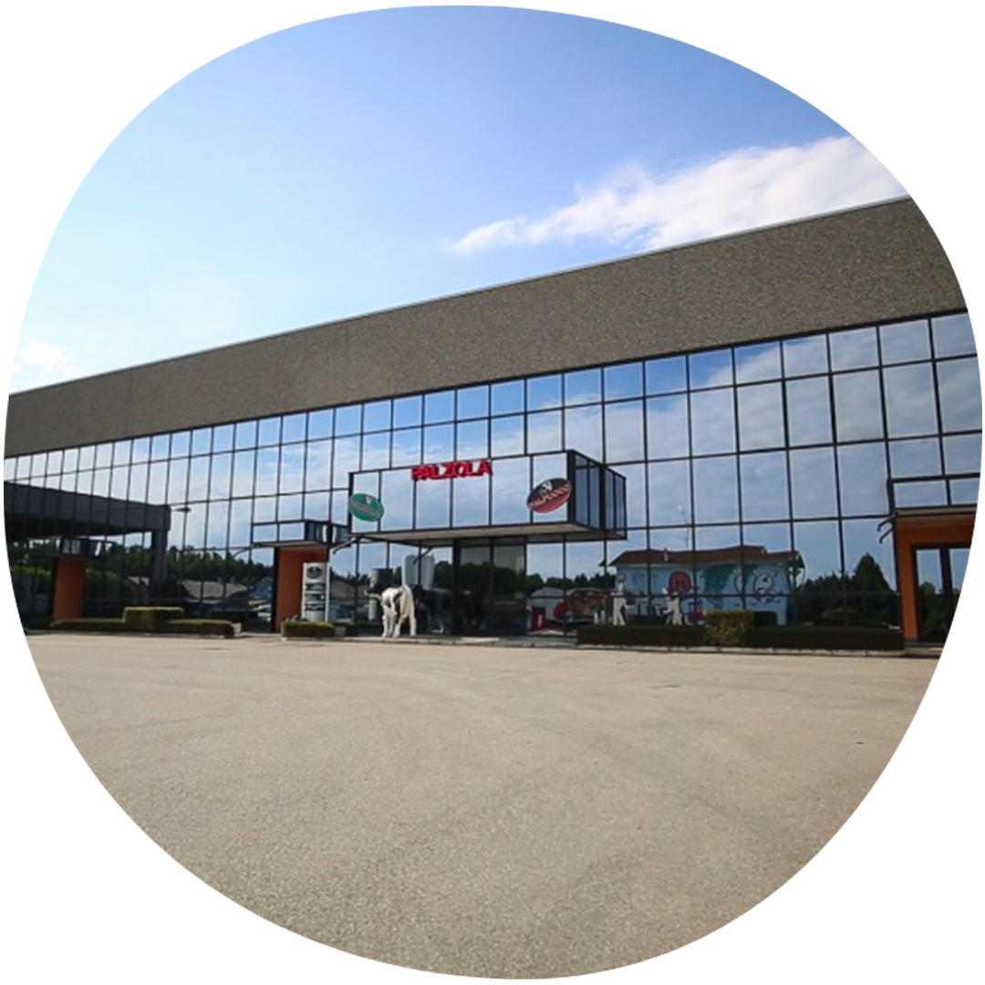 Image category Palzola