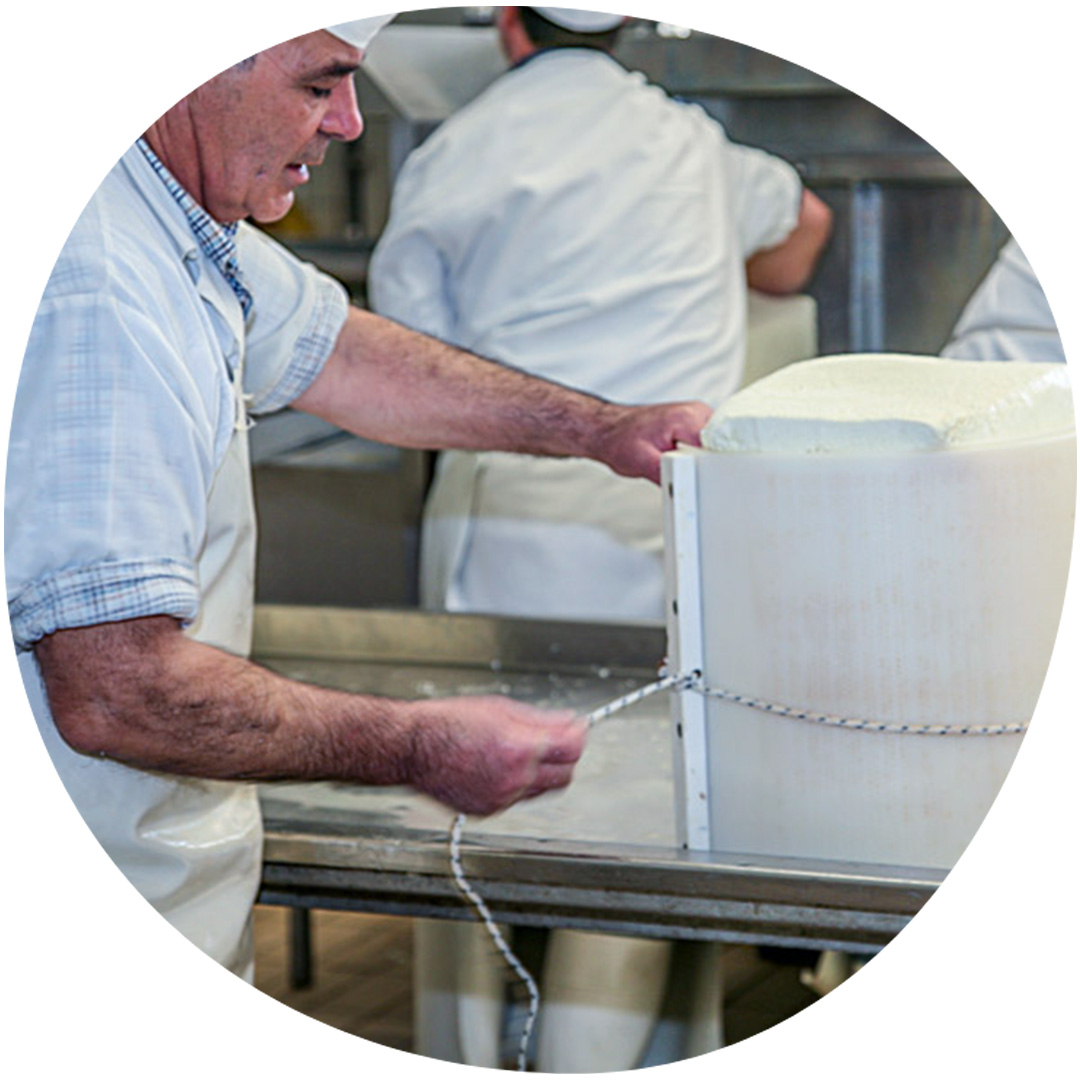 Image category Caseificio Serra