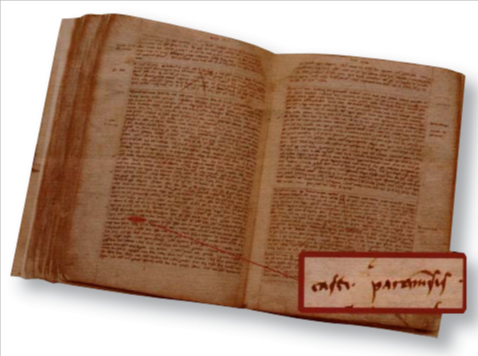 Parmesan Cheese: The King of Cheeses 1 atti notarili PARMIGIANO 1254