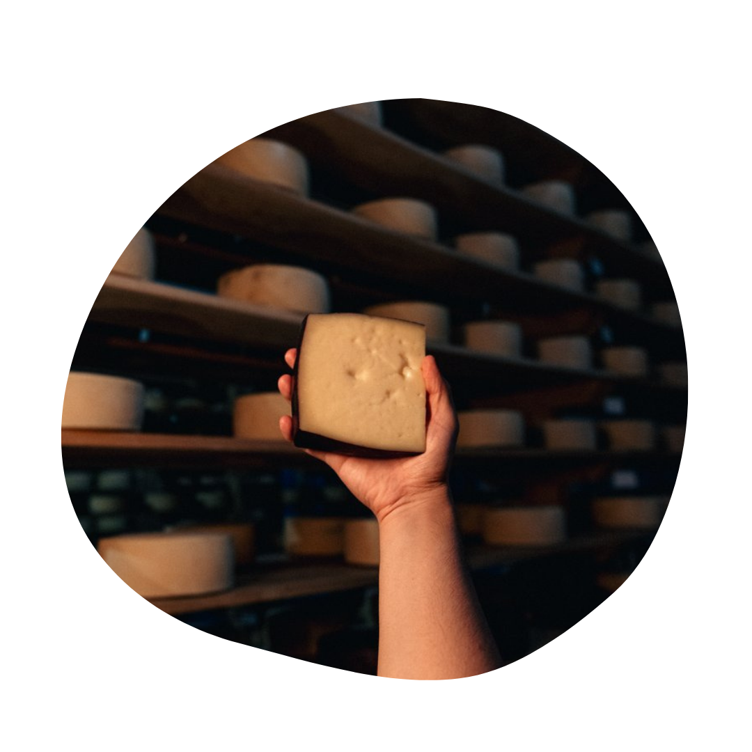 Image category Cava Bocanegra