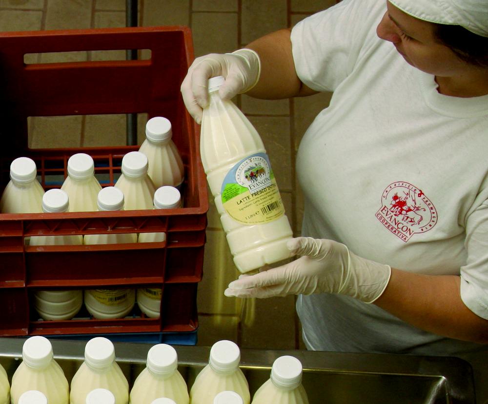 Image category Caseificio Evancon