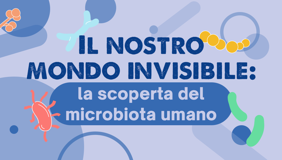 I segreti della fermentazione: come nascono i probiotici?